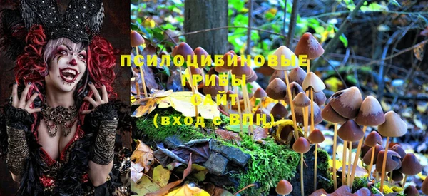 mdpv Пестово