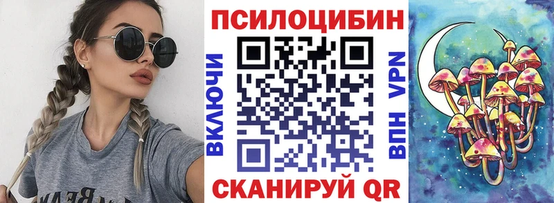 закладка  Шлиссельбург  Галлюциногенные грибы Psilocybe 